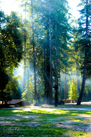 Camp Mendocino-1