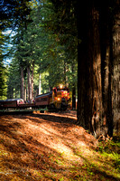Camp Mendocino-6