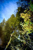 Camp Mendocino-10